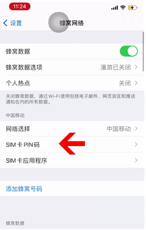 桥东苹果14维修网分享如何给iPhone14的SIM卡设置密码 