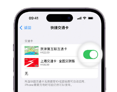 桥东apple维修点分享iPhone上更换Apple Pay快捷交通卡手绘卡面 