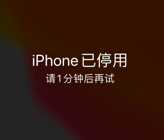 桥东苹果手机维修分享:iPhone 显示“不可用”或“已停用”怎么办？还能保留数据吗？ 