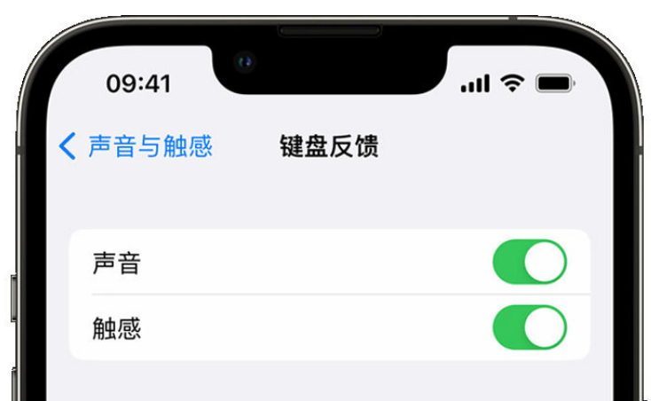 桥东苹果手机维修分享iPhone 14触感键盘使用方法 