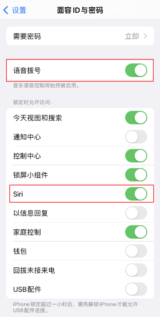 桥东苹果维修网点分享不解锁 iPhone 的情况下通过 Siri 拨打电话的方法 