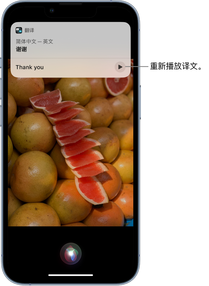 桥东苹果14维修分享 iPhone 14 机型中使用 Siri：了解 Siri 能帮你做什么 