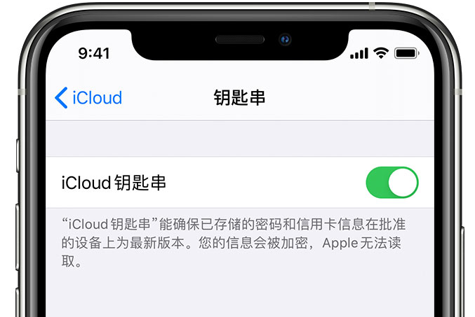 桥东苹果手机维修分享在 iPhone 上开启 iCloud 钥匙串之后会储存哪些信息 