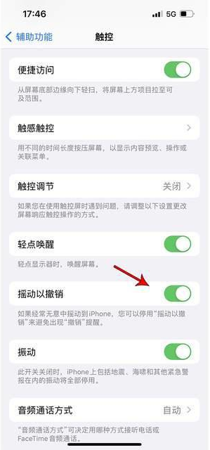 桥东苹果手机维修分享iPhone手机如何设置摇一摇删除文字 